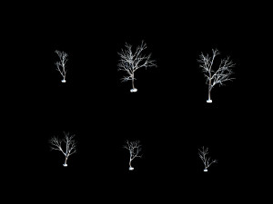 snow-short tree 32 3D Model
