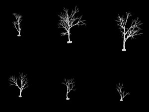 snow-short tree 32 3D Model