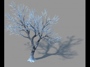 garden-garden-tree 41 3D मॉडल