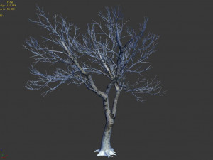 garden-garden-tree 41 3D Model