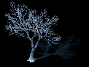 garden-garden-tree 41 3D Model