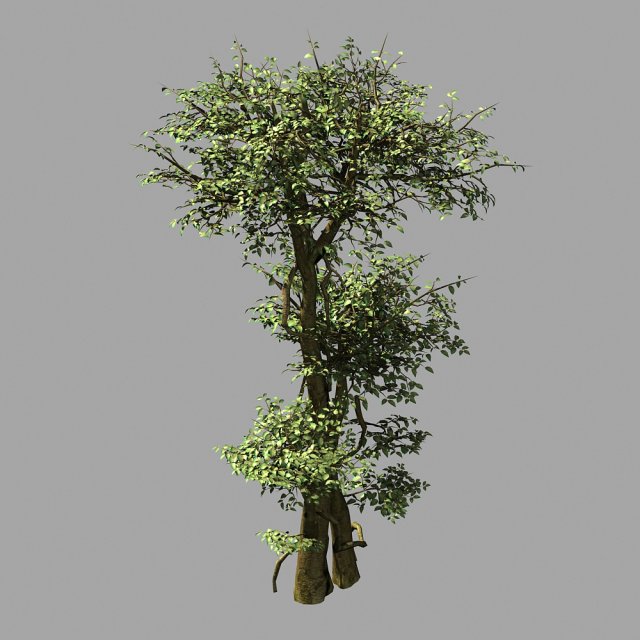 garden-garden-tree 56 3D 模型 .c4d .max .obj .3ds .fbx .stl .blend 