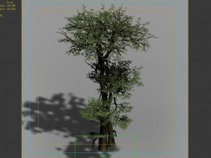 garden-garden-tree 56 3D 模型