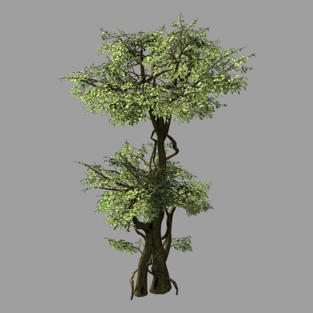 garden-garden-tree 57 3D Model .c4d .max .obj .3ds .fbx .stl .blend 