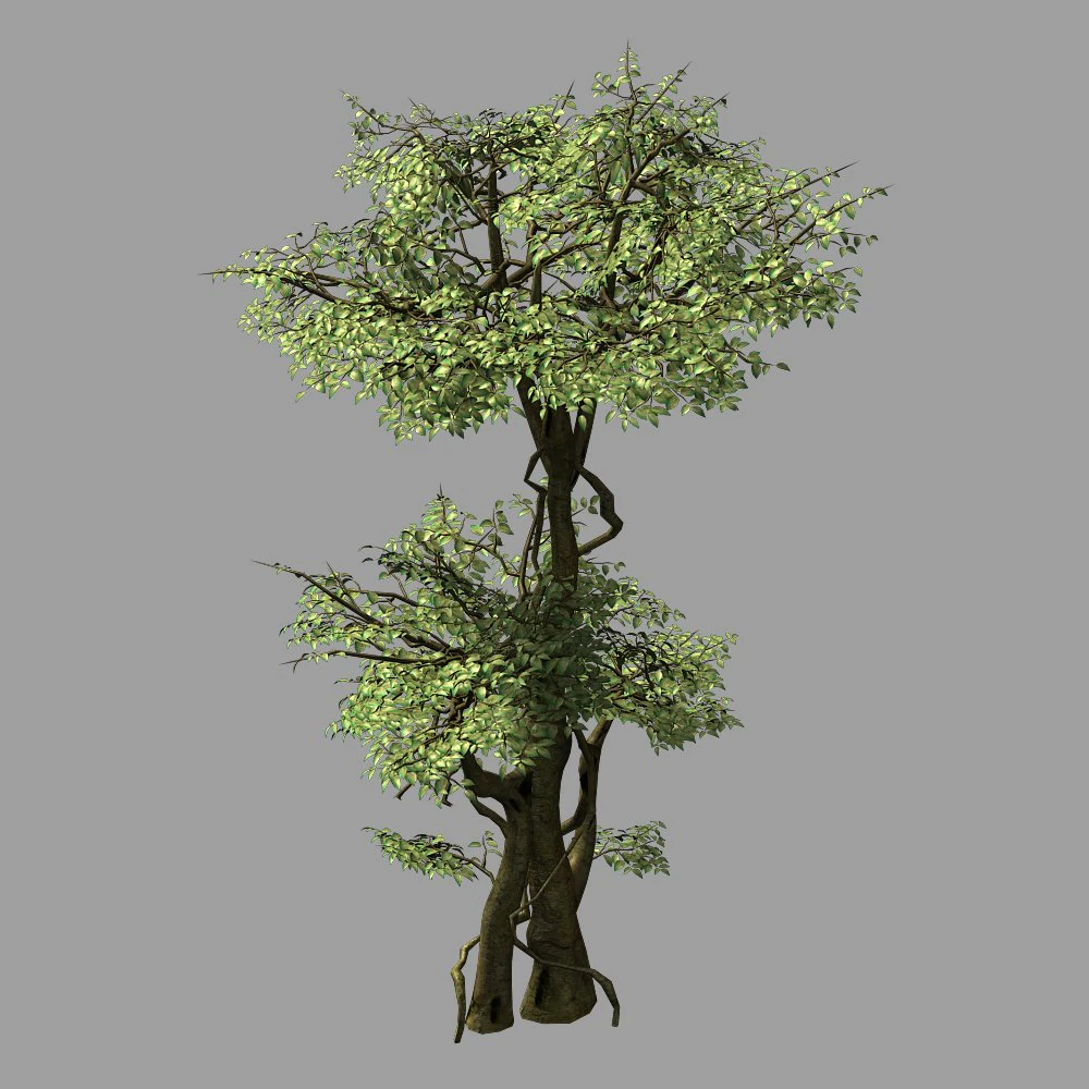 garden-garden-tree 57 3D Model .c4d .max .obj .3ds .fbx .stl .blend 