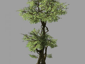 garden-garden-tree 57 3D Model