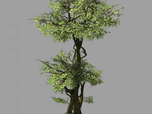 jard&iacute;n-jard&iacute;n-&aacute;rbol 57 Modelo 3D