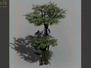 garden-garden-tree 57 3D Model