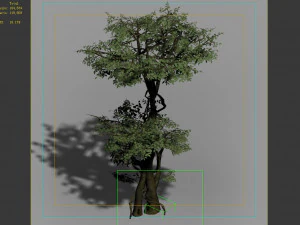 garden-garden-tree 57 3D Model
