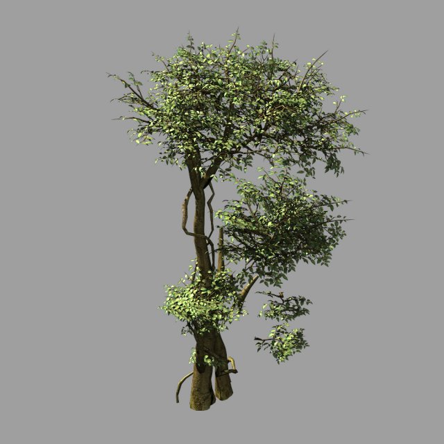 garden-garden-tree 58 3D Model .c4d .max .obj .3ds .fbx .stl .blend 