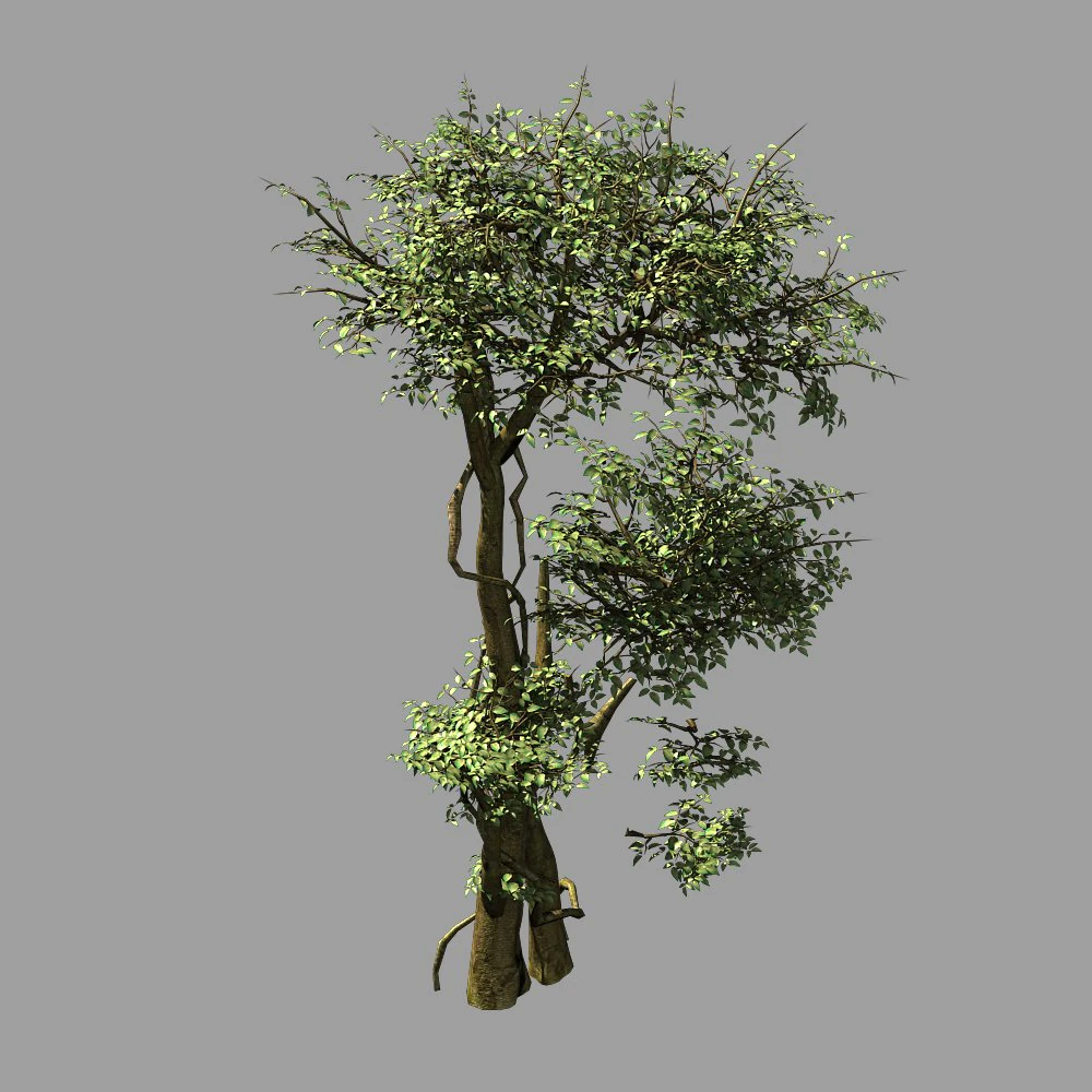garden-garden-tree 58 3D Model .c4d .max .obj .3ds .fbx .stl .blend