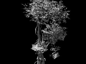 garden-garden-tree 58 3D Model