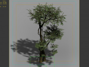 garden-garden-tree 58 3D Model