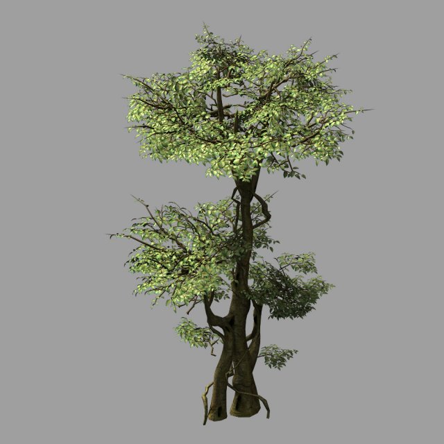 garden-garden-tree 59 3Dモデル .c4d .max .obj .3ds .fbx .stl .blend 