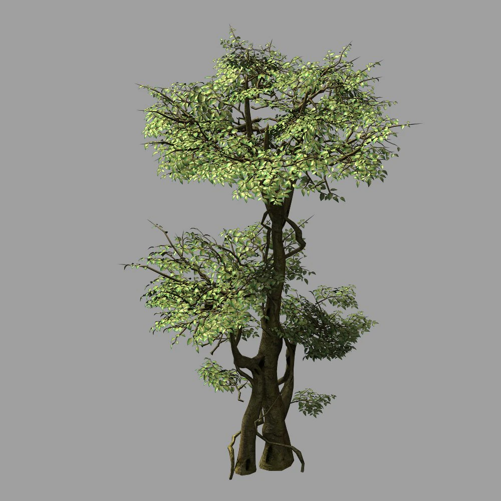 garden-garden-tree 59 3D Model .c4d .max .obj .3ds .fbx .stl .blend 