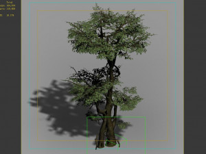 garden-garden-tree 59 3Dモデル