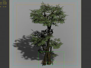 garden-garden-tree 59 3D Model