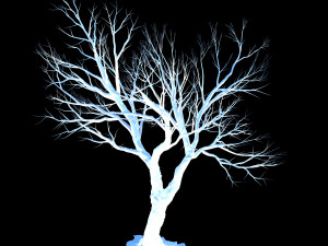 garden-garden-tree 60 Modelo 3D