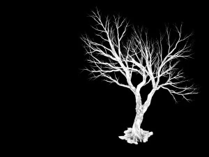 garden-garden-tree 60 3D Model