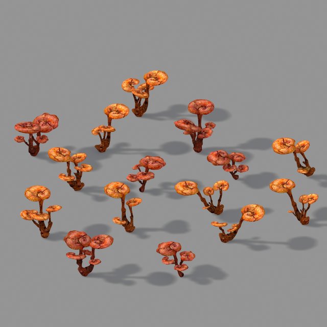 plant-supplement-ganoderma 12 3D 모델 .c4d .max .obj .3ds .fbx .stl .blend 