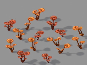 plant-supplement-ganoderma 12 3D Model