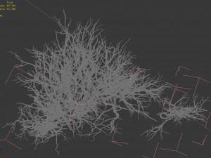 plant-camel spines scorched 21 Model 3D