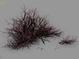 plant-camel spines scorched 21 Model 3D