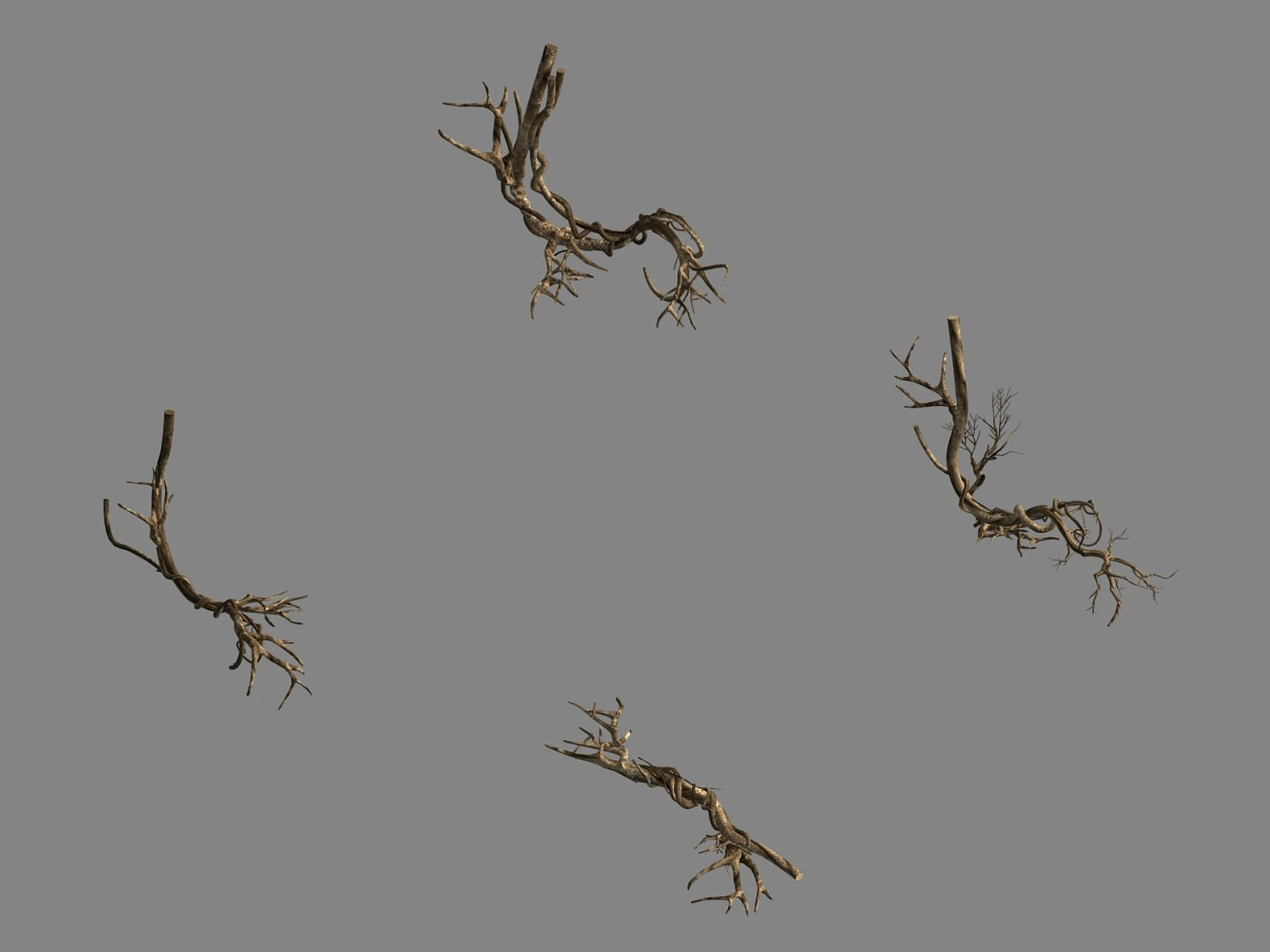 plant-green-climbing-vine 05 3D Model .c4d .max .obj .3ds .fbx .stl .blend 