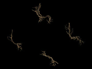 plant-green-climbing-vine 05 3D Model