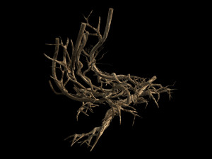 plant-green-climbing-vine 07 3D 모델