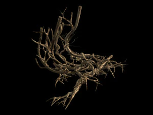 plant-green-climbing-vine 07 3D Model