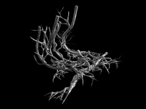plant-green-climbing-vine 07 3D Model
