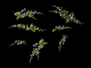 plant-bougainvillea 3D Model