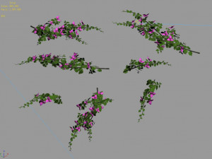 plant-bougainvillea 3D 模型