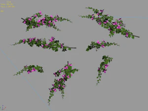 plant-bougainvillea 3D Model