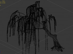 plant-forest-weeping willow 02 3D Model