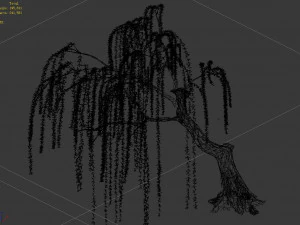 plant-forest-weeping willow 02 3D Model