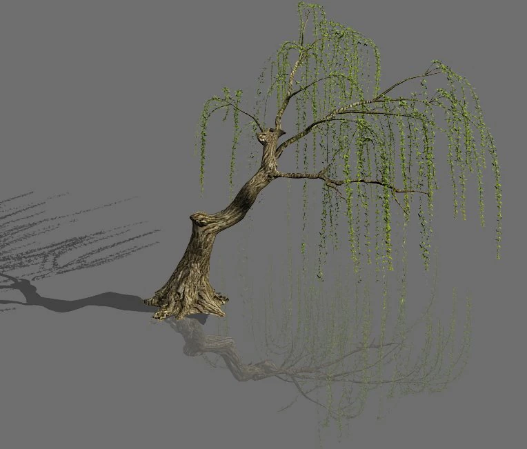 plant-forest-weeping willow 03 3D Model .c4d .max .obj .3ds .fbx .stl .blend 