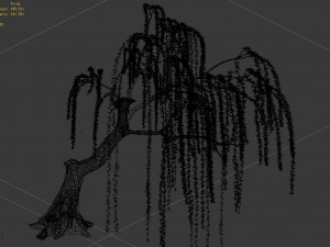 plant-forest-weeping willow 03 3D मॉडल