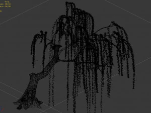 plant-forest-weeping willow 03 3D Model