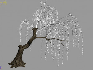 plant-forest-weeping willow 03 3D मॉडल