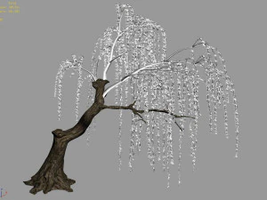 plant-forest-weeping willow 03 3D Model