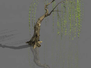 bitki-orman-salkım s&ouml;ğ&uuml;t 04 3D Model