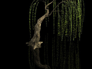 plant-forest-weeping willow 04 3D Модель