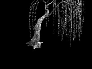 plant-forest-weeping willow 04 3D Модель