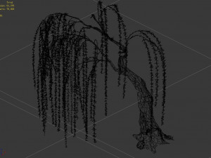 plant-forest-weeping willow 04 3D Модель