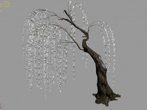plant-forest-weeping willow 04 3D Модель