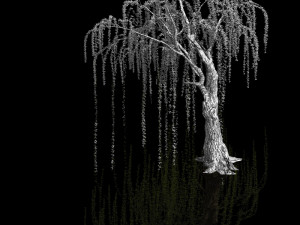 plant-forest-weeping willow 05 3D 模型