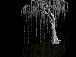 plant-forest-weeping willow 05 3D Model