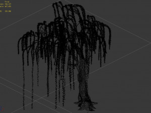 plant-forest-weeping willow 05 3D 模型